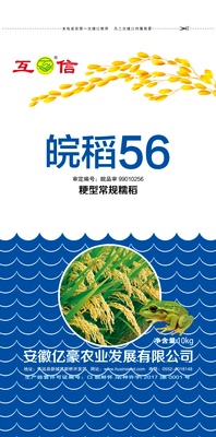 皖稻56